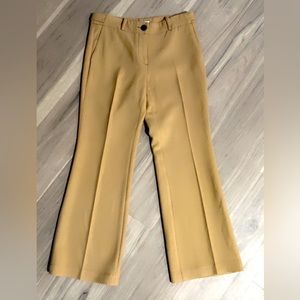 Anne Taylor Loft pants